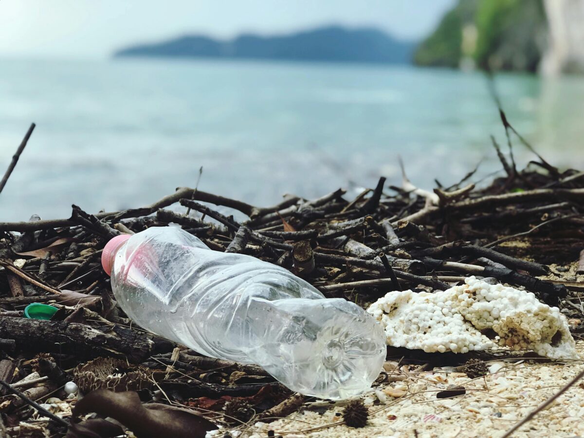 Plastic bottle on a beach - Waste Management and Disposal